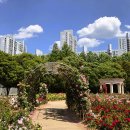 올림픽공원 이미지