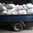 다온농장2 이미지