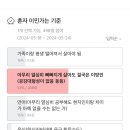 이민은 아니지만 다국적 아이돌 자컨 볼때 기끔 2 느낌 이미지