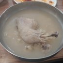 안동밥집 신촌닭백숙식당 고소한 백숙과 닭불고기 세트 후기