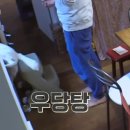 고양이민박 이미지