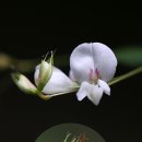 술 도둑놈 이미지