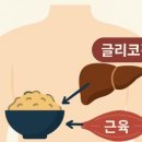 트로이짐 이미지