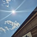 삼동소바 남양주 왕숙점 이미지