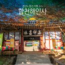 꽃향기 가득 천 채색화 | 경남 드라이브 코스 전국 유명 사찰 경남 합천 해인사