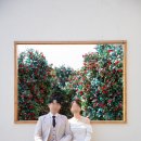 [스튜디오 11) 메이(토탈)스튜디오 촬영 후기-옥상 동백액자 배경(슬림)]