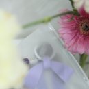 자동차 꾸미기 | 자동차키링 가방꾸미기 어번던트블레싱스 리본키링 사용후기