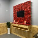 펫택시119 이미지