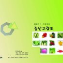 증산고령토 이미지