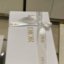 디자인나스별관 | 디올 woc 레이디 파우치 구매후기(블랙 페이던트)