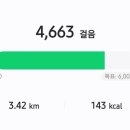 쇼핑산책