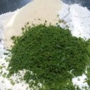 청성초교 병설유치원 이미지