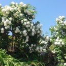 선소리 민박 이미지