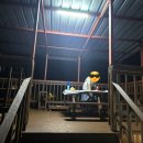 횡성펜션 숲속의쥬얼리 이미지