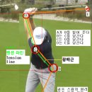 Golf swing is multiple pendular movement 골프 스윙은 다중 진자 운동이다. 이미지