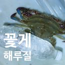 하나개 편의점 | 서울근교 해루질 명소 하나개 해수욕장 후기&amp;초보 장비 추천