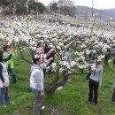 김인숙 농장 이미지