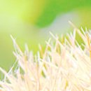 군산속편한내과의원 이미지