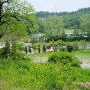 성암초 연곡분교 이미지