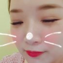 아장속눈썹