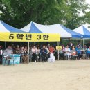 신평초교 이미지