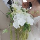 헤넴