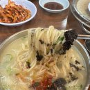은고개손칼국수