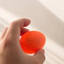 차가정 | 병아리 부화 2주차 검란 후기, 가정용 부화기로 가능할까? 초등학생 여름방학 추천 !