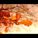 12/22 오늘의 묵상 (우상을 단호히 배격하는 세대) 이미지