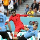 월드컵라이브 이미지