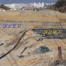 대형카쎈타