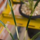 경호목장 이미지