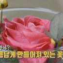 건이꽃플라워 이미지