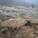 관동농장 이미지