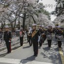 해병대 군악ㆍ의장대, 2017 진해군항제 군악의장페스티벌 참가! 이미지