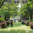 정원 - 서구 둔산중로58번길 29 | 정원