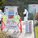 준수농장 이미지