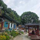 봉학사 | 충주 중앙탑면 봉학사 방문 후기