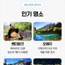 팬더호텔 이미지