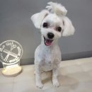 잇츠그루밍타임 이미지