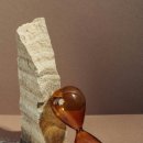 주식투자와 자산관리 이미지