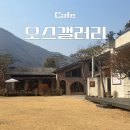 갤러리 | 전주 근교 대형 카페 오스갤러리 후기｜전주완주 카페 추천 코스