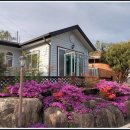 도림사계곡펜션 이미지