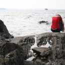 고목나무 이미지