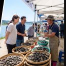 섬진강문화유산재첩 | 경남 섬진강 여름 나들이 계획 중이라면, 하동 재첩축제 불꽃놀이 현장 직접 즐긴 꿀팁