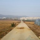 학교가는길 이미지