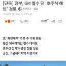 [단독] 정부, GM 철수 땐 ‘호주식 해법’ 검토 이미지