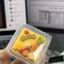 신플레옹