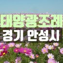 영태양광1호 이미지