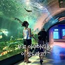 GS25 중촌하늘점 | 충북 괴산 아쿠아리움, 입장료 무료이지만 괴산까지 갈만할까? 주말방문 솔직후기